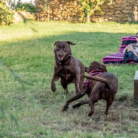 Lodge Terra Ericeira