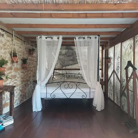 Terra Orman Evi *